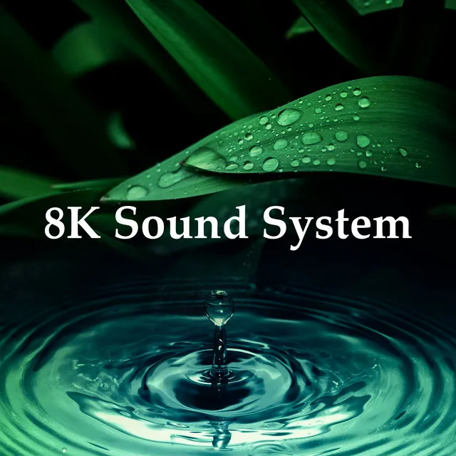 8K Sound System