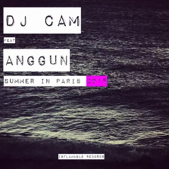 Summer in Paris 2015 by DJ Cam