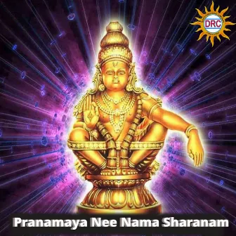 Pranamaya Nee Nama Sharanam by Eshwar