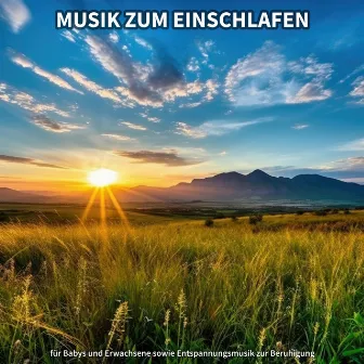 Musik zum Einschlafen für Babys und Erwachsene sowie Entspannungsmusik zur Beruhigung by Musik zum Einschlafen