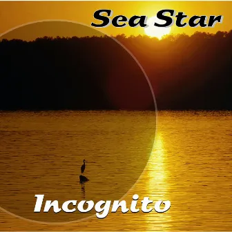 Sea Star by Incognito