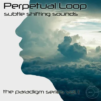 Subtle Shifting Sounds: The Paradigm Series, Vol. 1 by Perpetual Loop