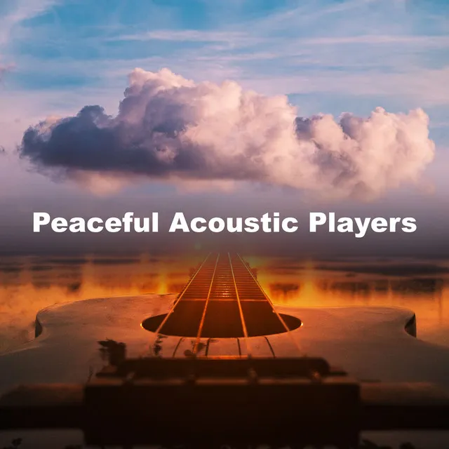 Peaceful Acoustic Players