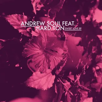 Sweet Love EP by Andrew Soul