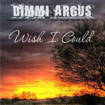 Wish I Could by Dimmi Argus