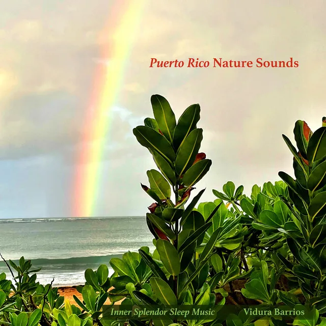 Nature Sounds of Puerto Rico