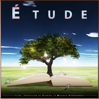 Étude : Lire, Travailler et Étudier la Musique Approfondie by Étudier la musique