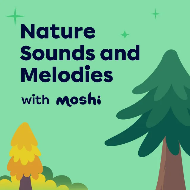 Moshi Forest Walk