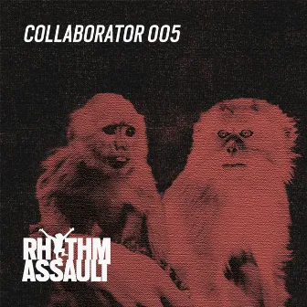 Collaborator 005 by Timo Maas