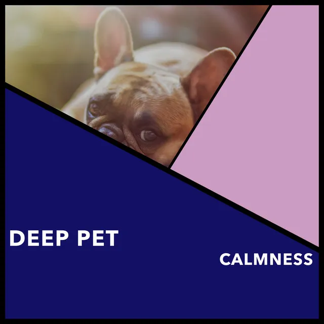 Deep Pet Calmness