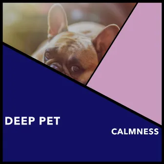 Deep Pet Calmness by Relaxing Doggy Sleep