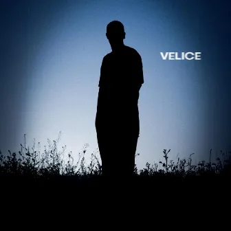 Velice by cvtd