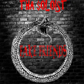 Fake Friends by Tha $oloist