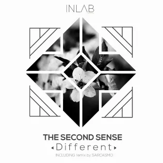 Different by The Second Sense