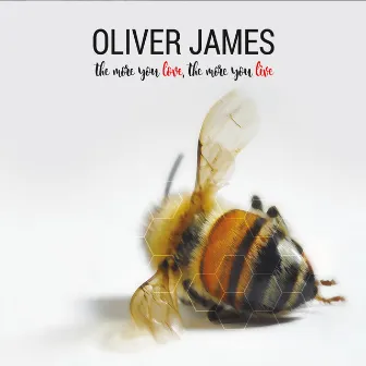 The More You Love, the More You Live by Oliver James