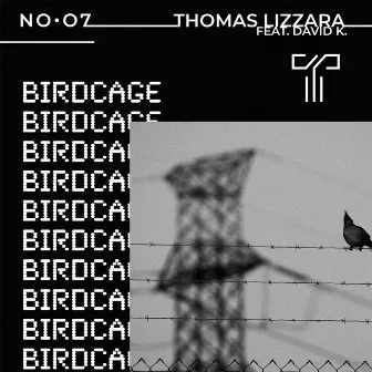 Birdcage by Thomas Lizzara