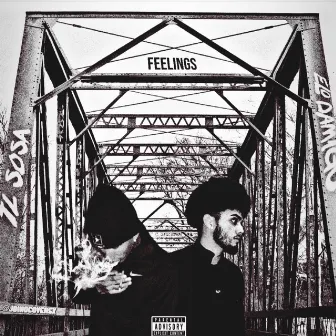 FEELINGS by TL Sosa