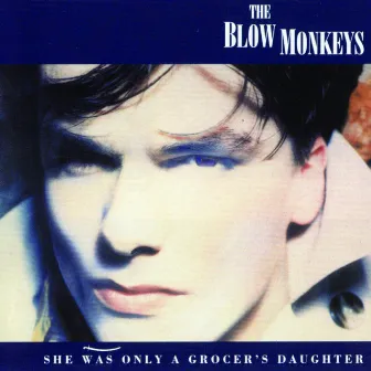 She Was Only A Grocer's Daughter by The Blow Monkeys