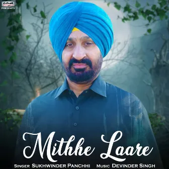 Mithhe Laare - Single by Sukhwinder Panchhi