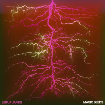 Magic Seeds by Leifur James