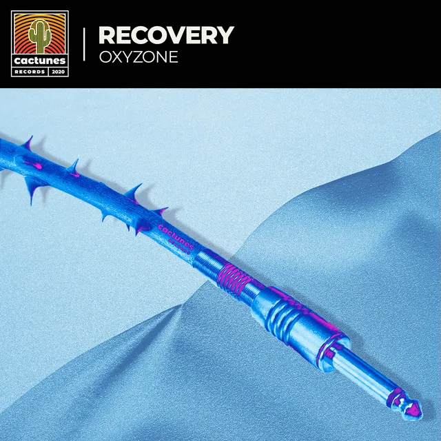 Recovery