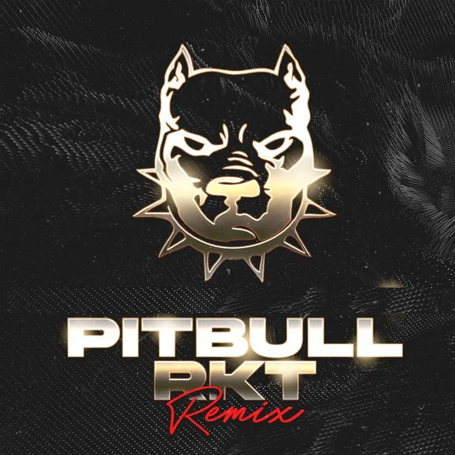 Pitbull Rkt (Remix)