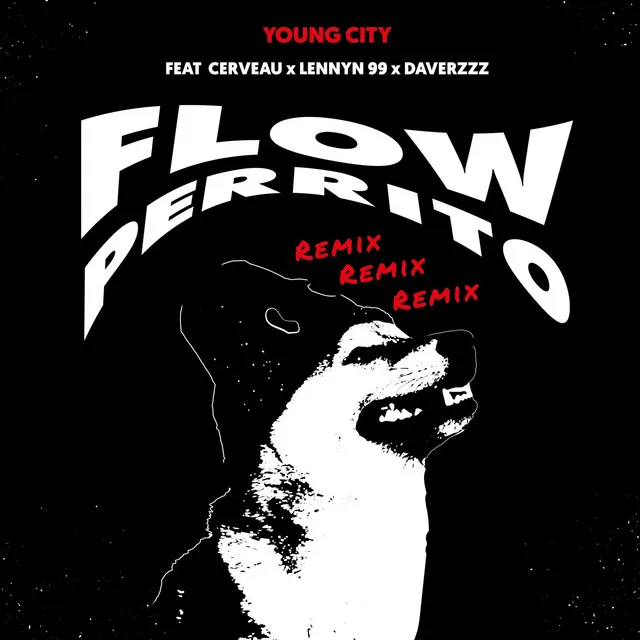 Flow Perrito - Remix