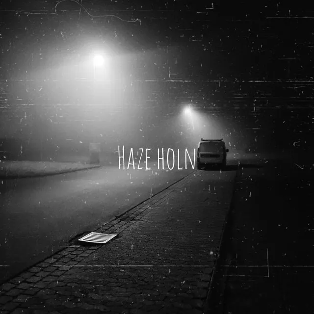 Haze holn