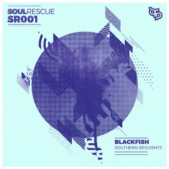 Southern Residents by Blackfish