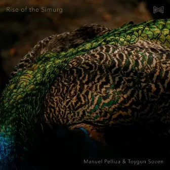 Rise Of The Simurg by Manuel Pelliza