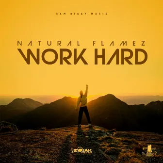 Work Hard by Sam Diggy