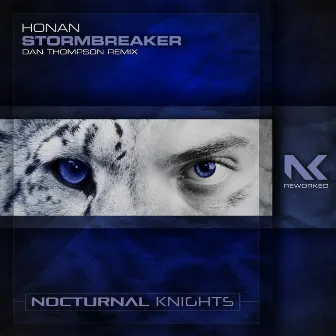 Stormbreaker (Dan Thompson Remix) by Honan