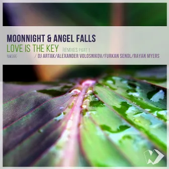 Love Is the Key (Remixes, Pt. 1) by Angel Falls