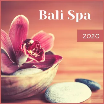 Bali Spa 2020: Relaxing Luxury Spa Bath Time, Spa Treatment Relaxing Music to Enter a World of Pleasure and Deep Relaxation by Spa Radio Collection