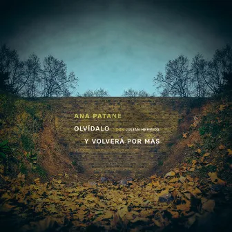 Olvídalo y Volverá por Más by Ana Patané