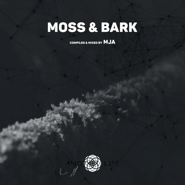 Dark Sky - Mixed