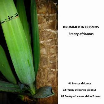 Frenzy Africanos by Drummer In Cosmos