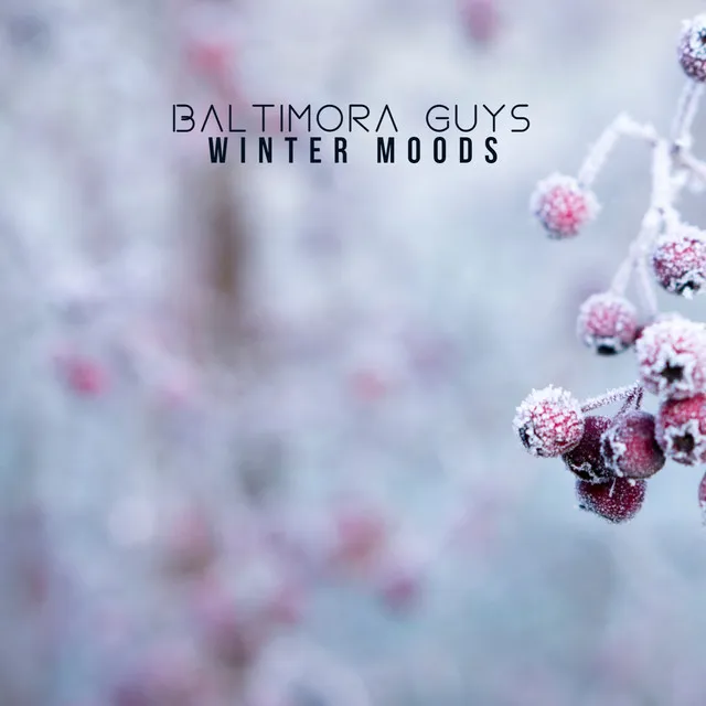 Winter Moods - Cut Mix