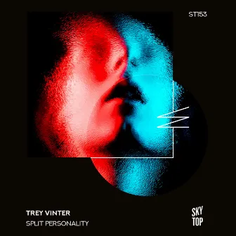 Split Personality by Trey Vinter