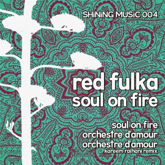 Soul On Fire by Red Fulka