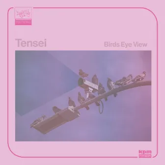 Bird's Eye View by Tensei