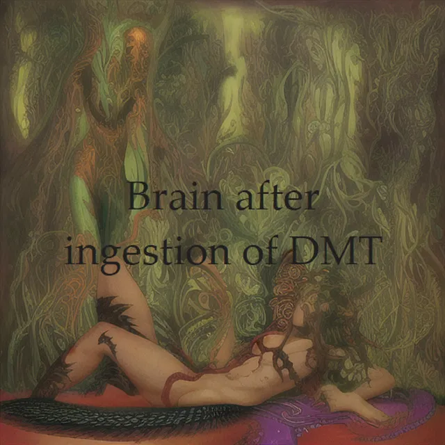 Brain after ingestion of DMT