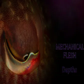 Depths by Mechanical Flesh