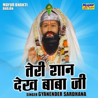 Teri Shan Dekh Baba Ji (Hindi) by Gyanander Sardhana