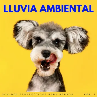 Lluvia Ambiental: Sonidos Terapeúticos Para Perros Vol. 1 by Música para la ansiedad del perro