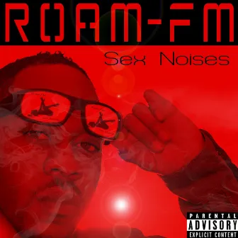 Sex Noises by ROAM FM