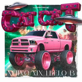 Cat Cat by xhino mx