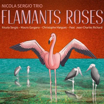 Flamants Roses by Nicola Sergio