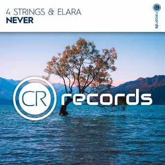 Never by Elara