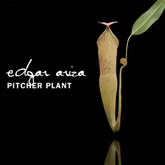 Pitcher Plant by Edgar Ariza